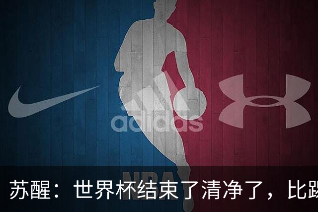 苏醒：世界杯结束了清净了，比踢到一半就淘汰的那种清净好